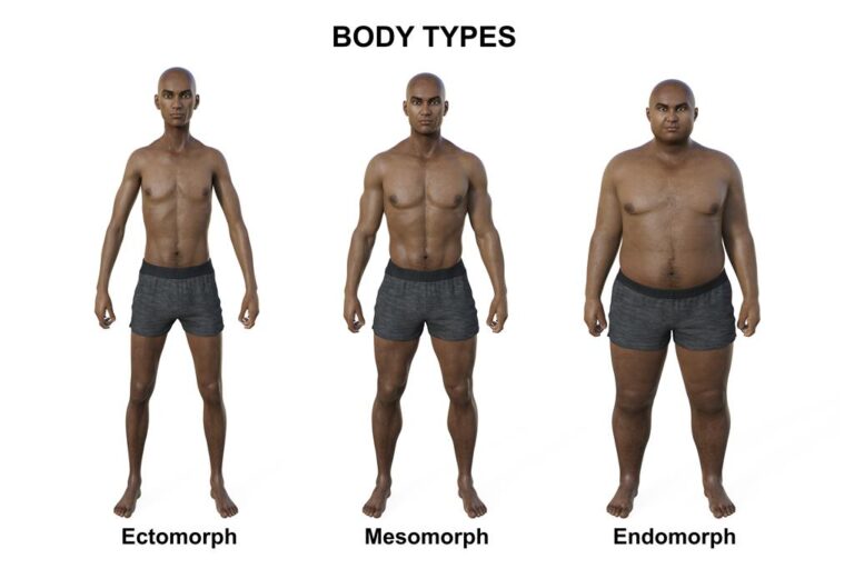 Biotipo corporal: saiba o seu e como adaptar dieta e treino