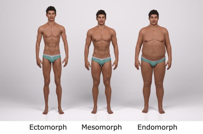 Endomorfo: o que é, características, dieta e cardápio